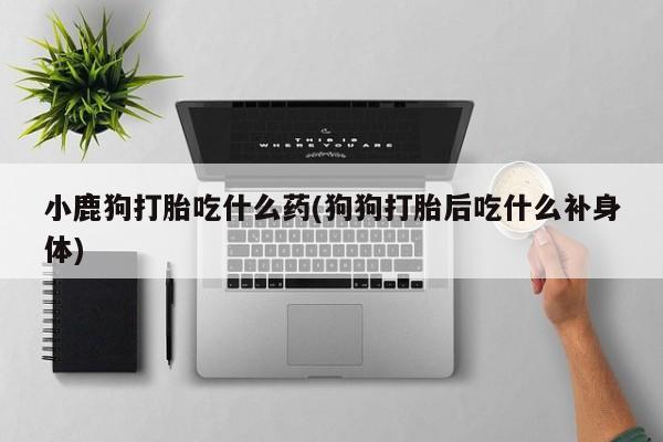 米索前列醇在线下单小鹿狗打胎吃什么药(狗狗打胎后吃什么补身体)