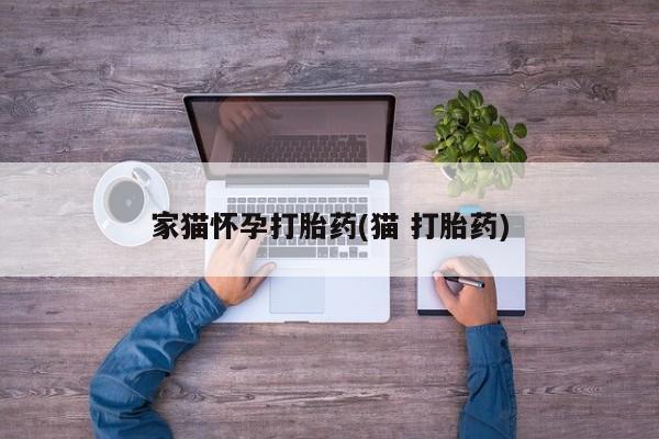 米索前列醇在线下单家猫怀孕打胎药(猫 打胎药)